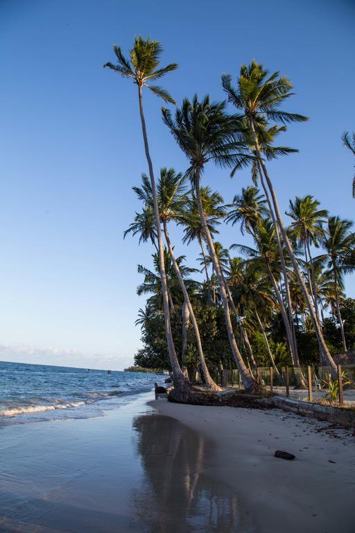 Club Meridional Praia Dos Carneiros By Aft Tamandaré Eksteriør bilde