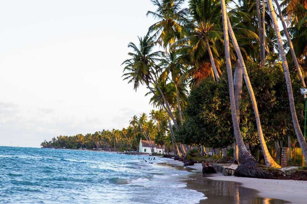 Club Meridional Praia Dos Carneiros By Aft Tamandaré Eksteriør bilde